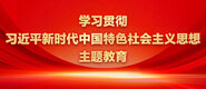 十大操逼学习贯彻习近平新时代中国特色社会主义思想主题教育_fororder_ad-371X160(2)